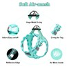 Mercano Soft Mesh Dog Harness and Leash Set, No-Chock Step-in
