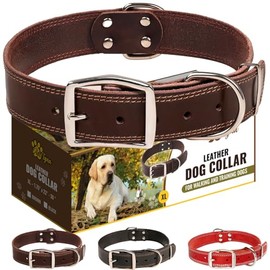 ADITYNA - Collar de piel resistente para perros extragrandes, collar de perro de piel suave y fuerte para razas de perros XL (extragrande: para cuello de 22 a 30 pulgadas, café)