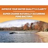 Crystal Blue Pond Booster 1 Gal. Royal Blue Pond Dye