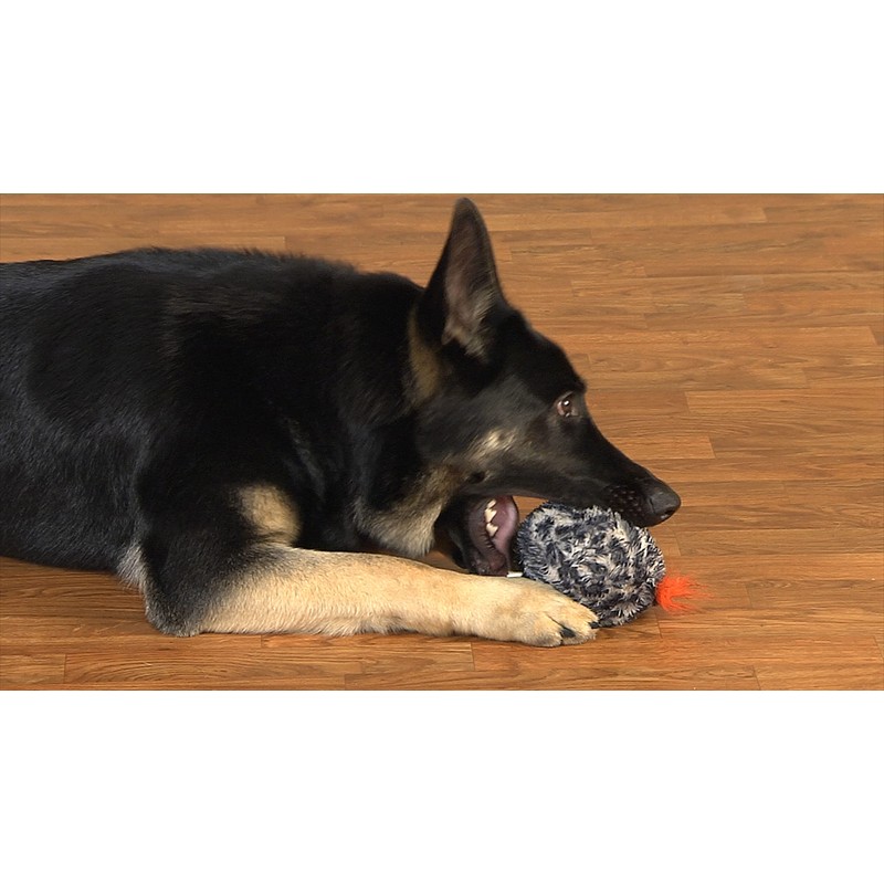 Gazoos Interactive Dog Toy (Leaping Leopardo), Motion Activated Bouncing Talking