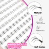 NO1 False Eyelash Parts, Large Capacity, Natural, Everyday Makeup, Stage