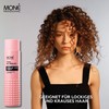 MONÉ Professional - The Perfect Shampoo - Maximum Brilliance and