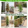 ENNUFO Tomato Planter with Trellis 57", 2-Pack Self Watering Raised
