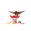 3-Pack - ZUMMR Hummingbird Ring Feeder - Hand Feed Hummingbirds