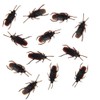 Cooplay 30pcs Fake Roaches Prank Cockroach Bugs Look Real Black