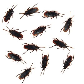 Cooplay 30pcs Fake Roaches Prank Cockroach Bugs Look Real Black Insect for Adult Funny Halloween Fool's Day Christmas Party