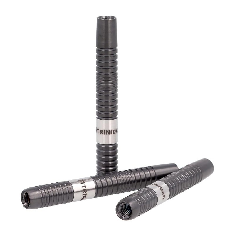 TRiNiDAD PRO LAZY Lazy 2BA Terumune Matsuyoshi Model Darts Barrel