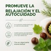 Dr C Tuna Double Effect Pferde Balsam