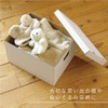 Toyo Case, A4 Storage Box, Set of 5, Width 13.0