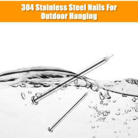 KURUI 500Pcs Stainless Steel Wall Nails Assortment Kit, 6 Sizes Long Nails for Hanging Picture Frames,Shelves, Wood, Drywall, Small Nails, Finishing Nail for Home Decor & Home Improvement