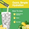 DIALED MOODS DIALED MOODS Electrolyte Powder - Citrus Circuit –