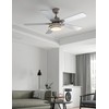 warmiplanet Ceiling Fan with Lights Remote Control, 52 Inch, Brushed