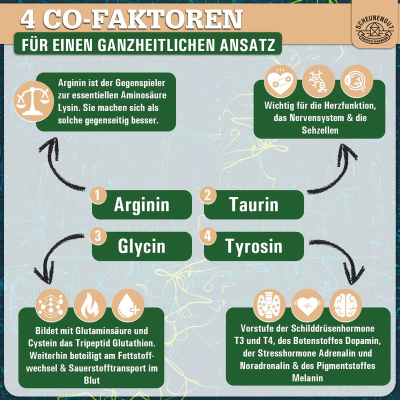 Amino Intenso - Amino Acids Complex - 8 Essential Amino