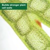 SUPERthrive® Pro-Tekt® 0-0-3 Silicon Supplement for Plants, 8 oz.