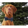 DOGWONG Red Dog Collar with Bow Tie - Red Blue