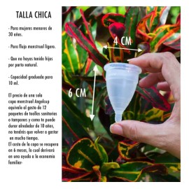 2 Copa Menstrual Angel Cup (chgde)  2 Vasos Esterilizador                                                                                             