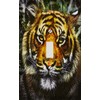 The Tiger Switchplate - Switch Plate Cover
