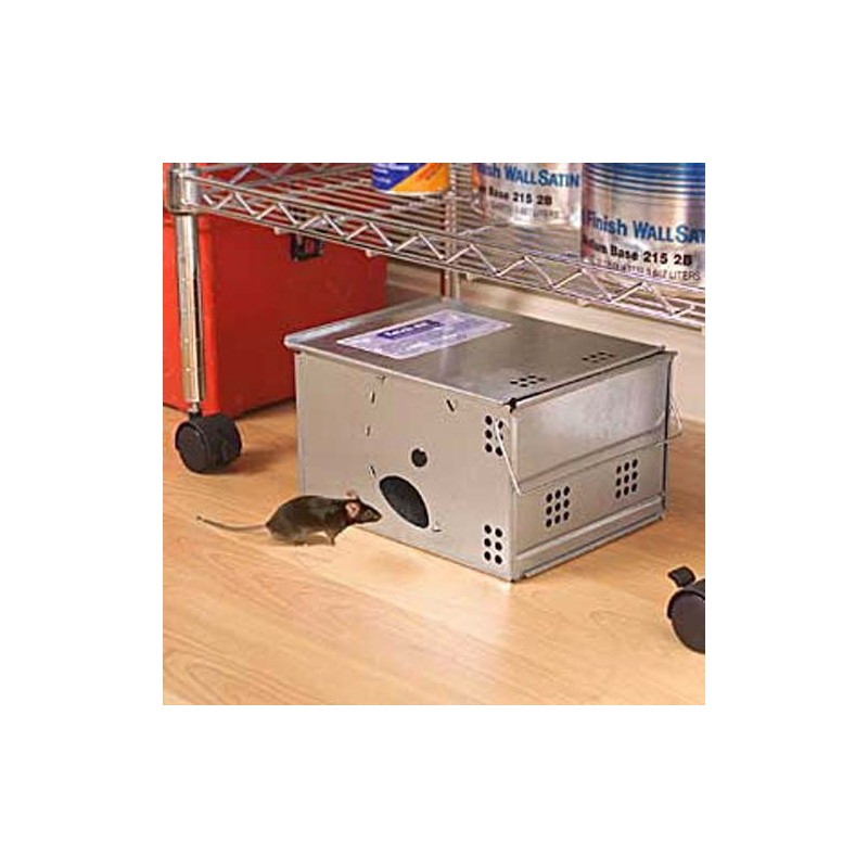 Ketch All Repeating Mouse Trap Clear Top ( 2 Pack