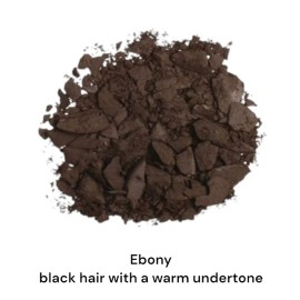 Anastasia Beverly Hills Brow Powder Duo Ebony Full Size New With Box