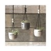 East of India: Boxed Rustic Planter - Black Wash