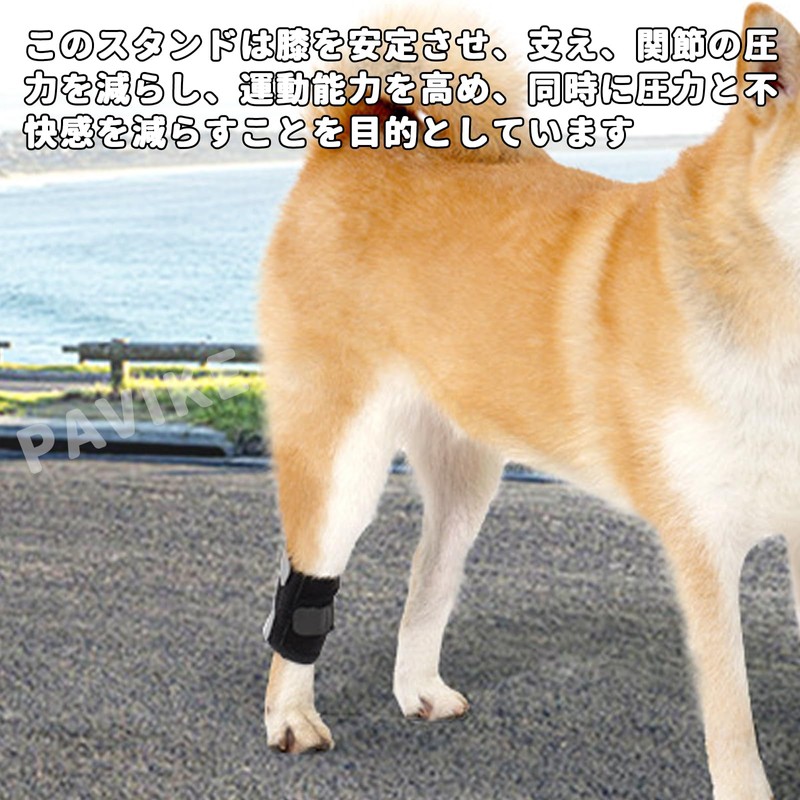 PAVIKE 犬用サポーター 犬 サポーター 犬 サポーター 後ろ足 犬用サポーター後ろ足膝 犬用サポーター後ろ足 傷害予防
