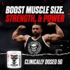 JNX SPORTS The Curse Creatine Monohydrate Peach Mango 50 Servings