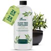 16oz Olive Tree Fertilizer – Makes 16 Gallons of Olive