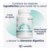 Probióticos Akkermansia 400 Mg Salud Intestinal Y Metabólica