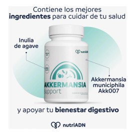 Probióticos Akkermansia 400 Mg Salud Intestinal Y Metabólica