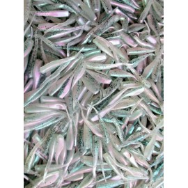 ALL AMERICAN Tournament Quality Soft Plastic Baits 50ct RAINBOW TROUT MIX 2" STINGER SHAD Grubs Crappie Fishing Lures Trout Panfish