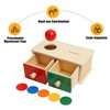 Siairo Montessori Toy for Toddlers, Coin and Ball, 2 in