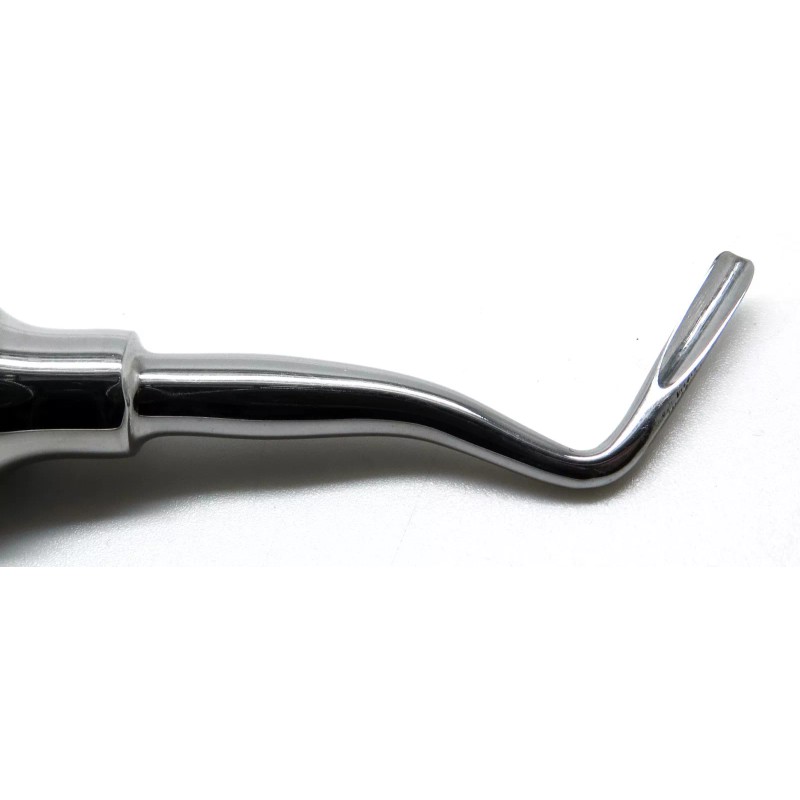 PREMIUM INSTRUMENTS 10× Dental Extraction Root Elevators Apical Right Elevators