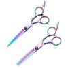 2 Pieces Hairdressing Scissors, Hairdressing Tools, Haircutting Accessories, Stainless Steel