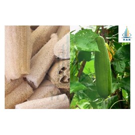 1Pcs Loofah Loofah Natural Organic 100% Egyptian Loofah Sponge Bath Bath Exfoliating Skin 21''