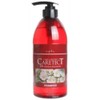 Napra Care Tech HB Repair Shampoo, 25.4 fl oz (750 ml)