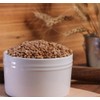 Organic Hard Red Wheat Berries - 24lbs