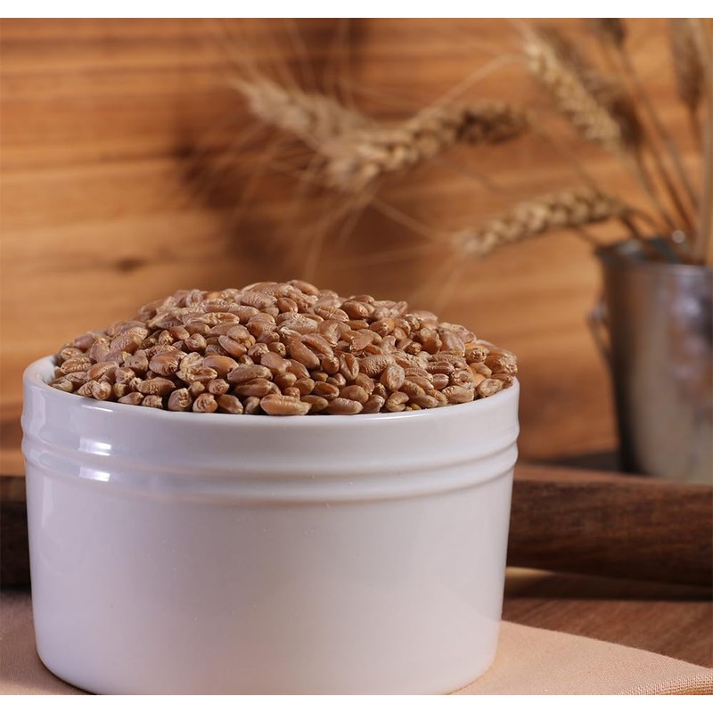 Organic Hard Red Wheat Berries - 24lbs
