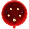 16A 5 Pin Plug and Coupler Set - 380-415V -