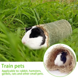 Rabbit Tunnel, Guinea Pig Tunnel Cuddly Tunnel Hamster Toy Accessories Small Animal Activity Tunnel Toy for Small Animals, Guinea Pigs, Ferrets, Chinchilla, Hedgehog (Green)