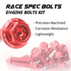 Autobahn88 Motorcycle Engine Bolt Dress-up Kit, compatible with Suzuki B-King