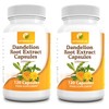 Dandelion Root Extract Capsules 500 mg 120 Capsules