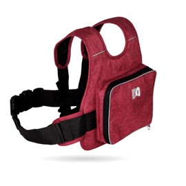 Children's Motorcycle Seat Belt, Adjustable Length Motorcycle Children's Belt, Baby Fall Protection, Breathable Children's Motorcycle Harness for Children Between 2 and 12 Years (Red)