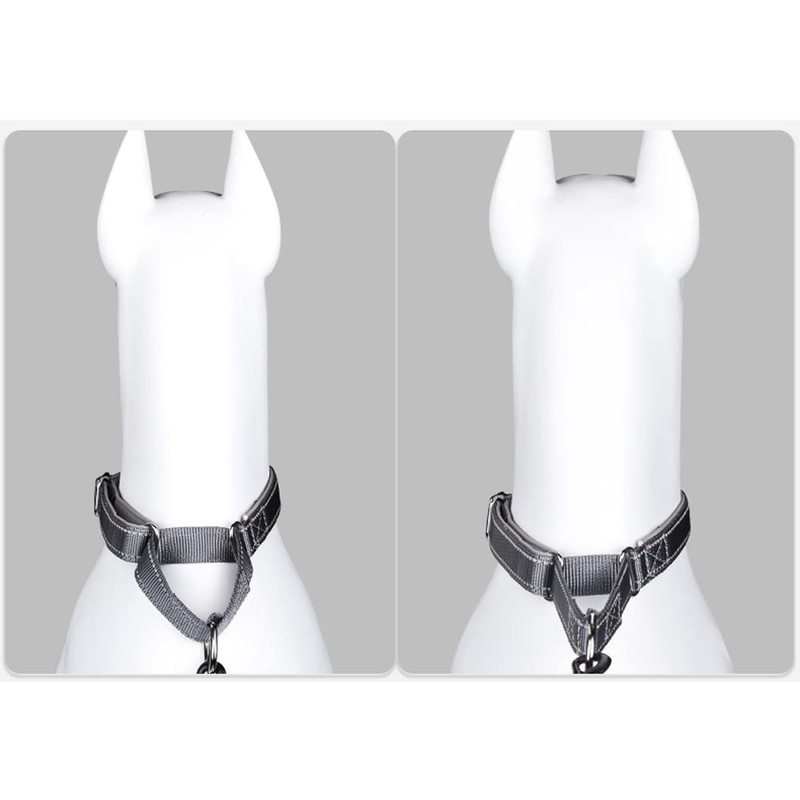 Serijoars Martingale Heavy Duty Nylon Dog Collar, Soft Neoprene Padded