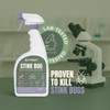 Stink Bug Spray, 22 oz. | Natural, Plant-Based Stink Bug