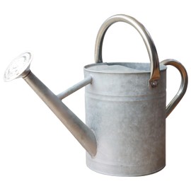 SunnyTong Metal Watering Can for Outdoor and Indoor Plants, Watering Can Decor, 1 Gallon (Zinc Stainless Steel Handle)