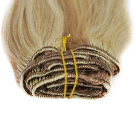 Clip In Hair Extensions Real Human Hair Brown Blonde Highlighted Straight 20" 100gm (20, 12/613-Light brown highlighted with light blonde)
