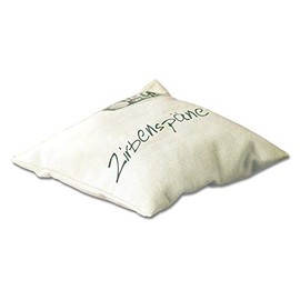 Unbekannt Infraworld S2275 5 Scented Cushion Herb Cushion Pine Fragrance 20 g