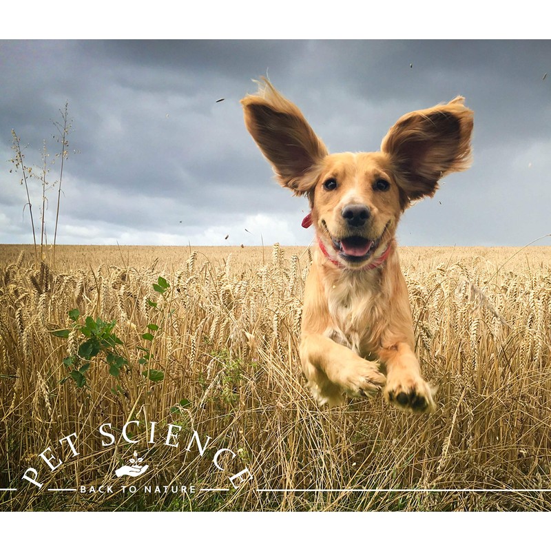 Pet Science Ear Wash for Dogs and Cats, Cleans and