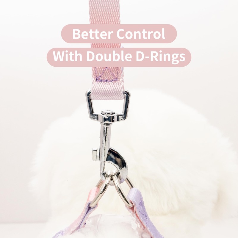 AIITLE Dog Harness and Leash Set - No Pull Pet
