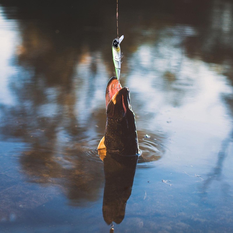 Minnow Fishing Lures | Three-Section Sinking Minnow Lures - Catfish